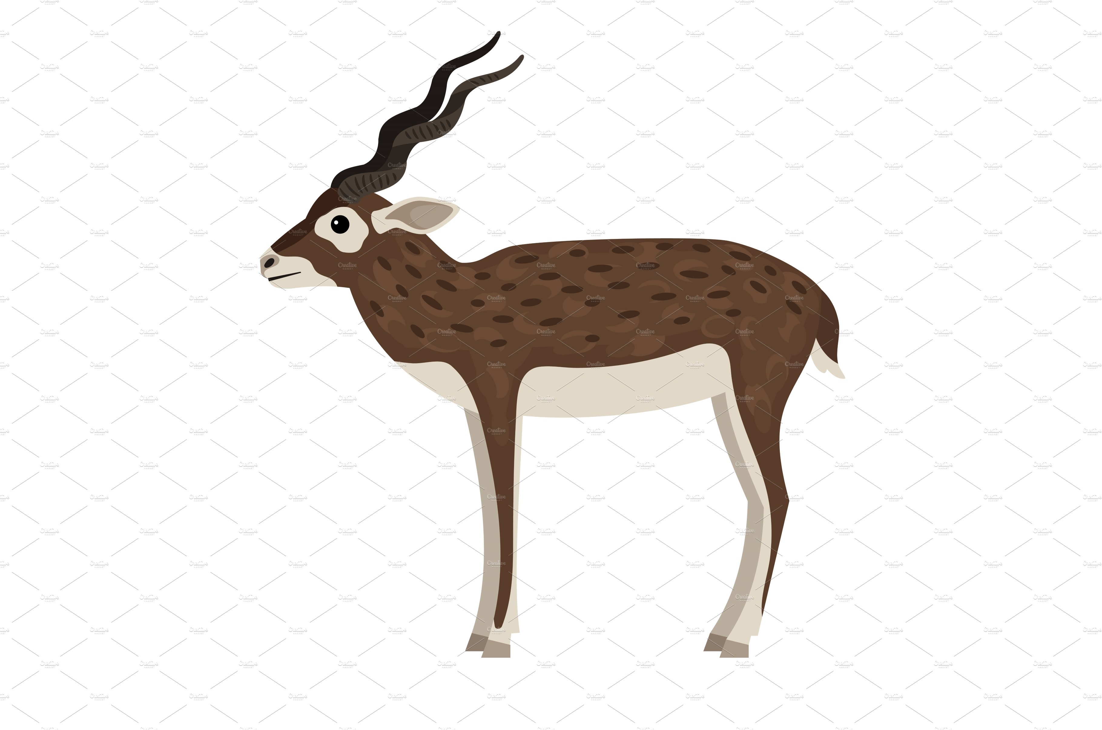Cartoon wild antelope cover image.