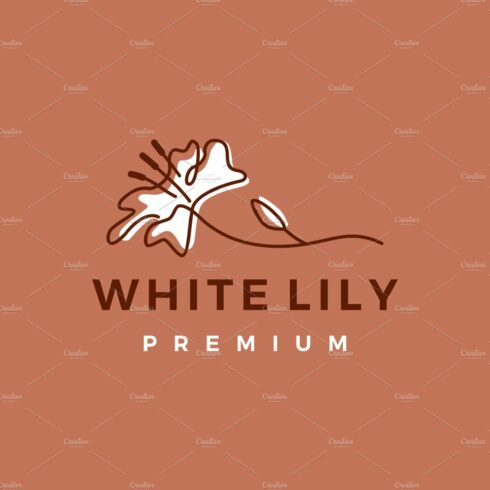 white lily aesthetic sophisticated cover image.