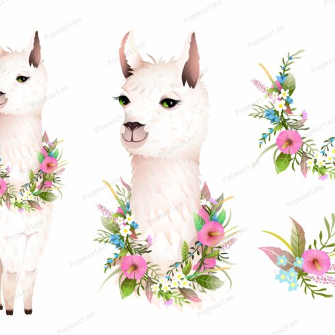 Lama Flowers Animal Vector Design cover image.