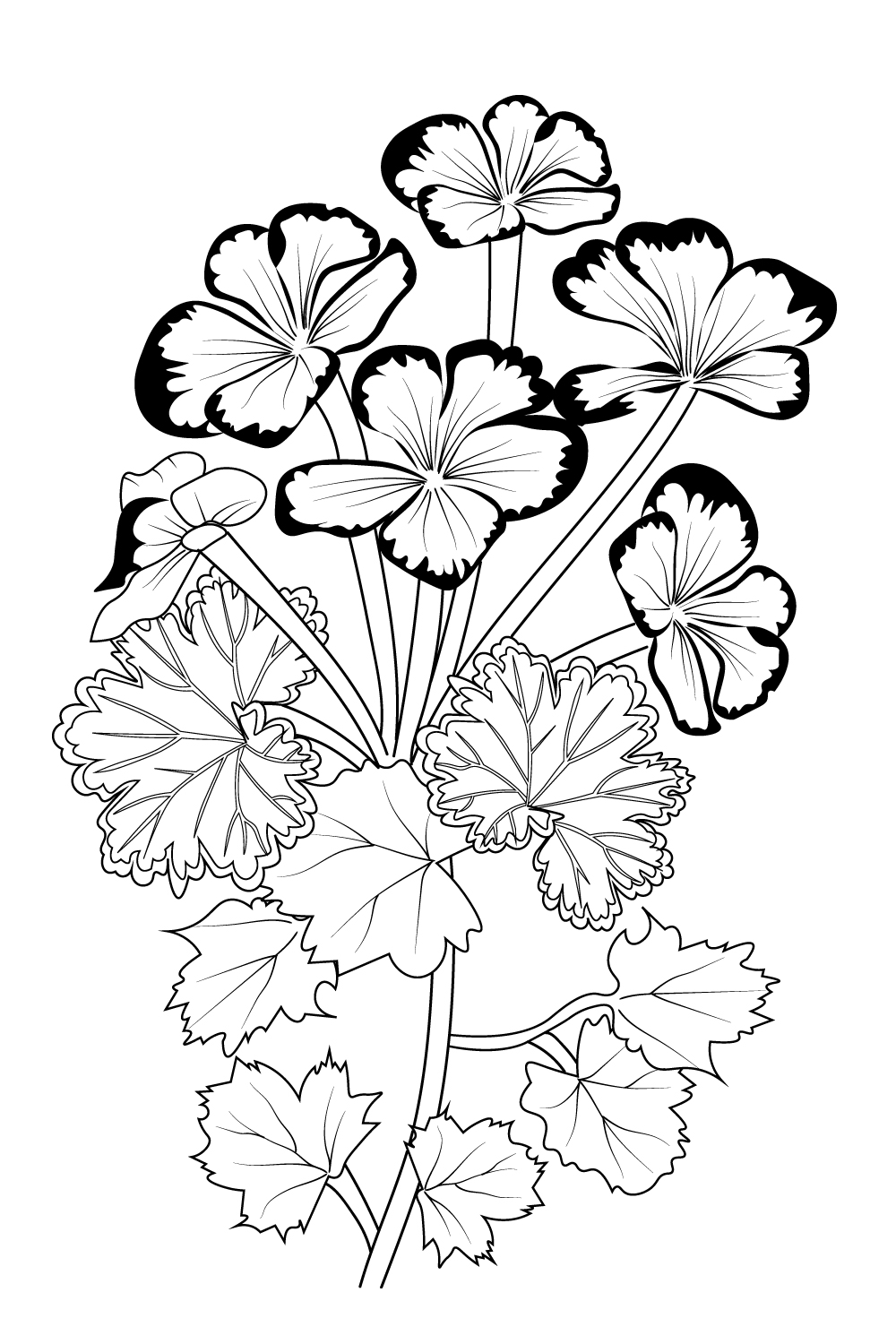coloring easy geranium drawing, pencil geranium drawing, tattoo geranium flower drawing geranium flower vector art, flower line art, flower coloring pages pinterest preview image.