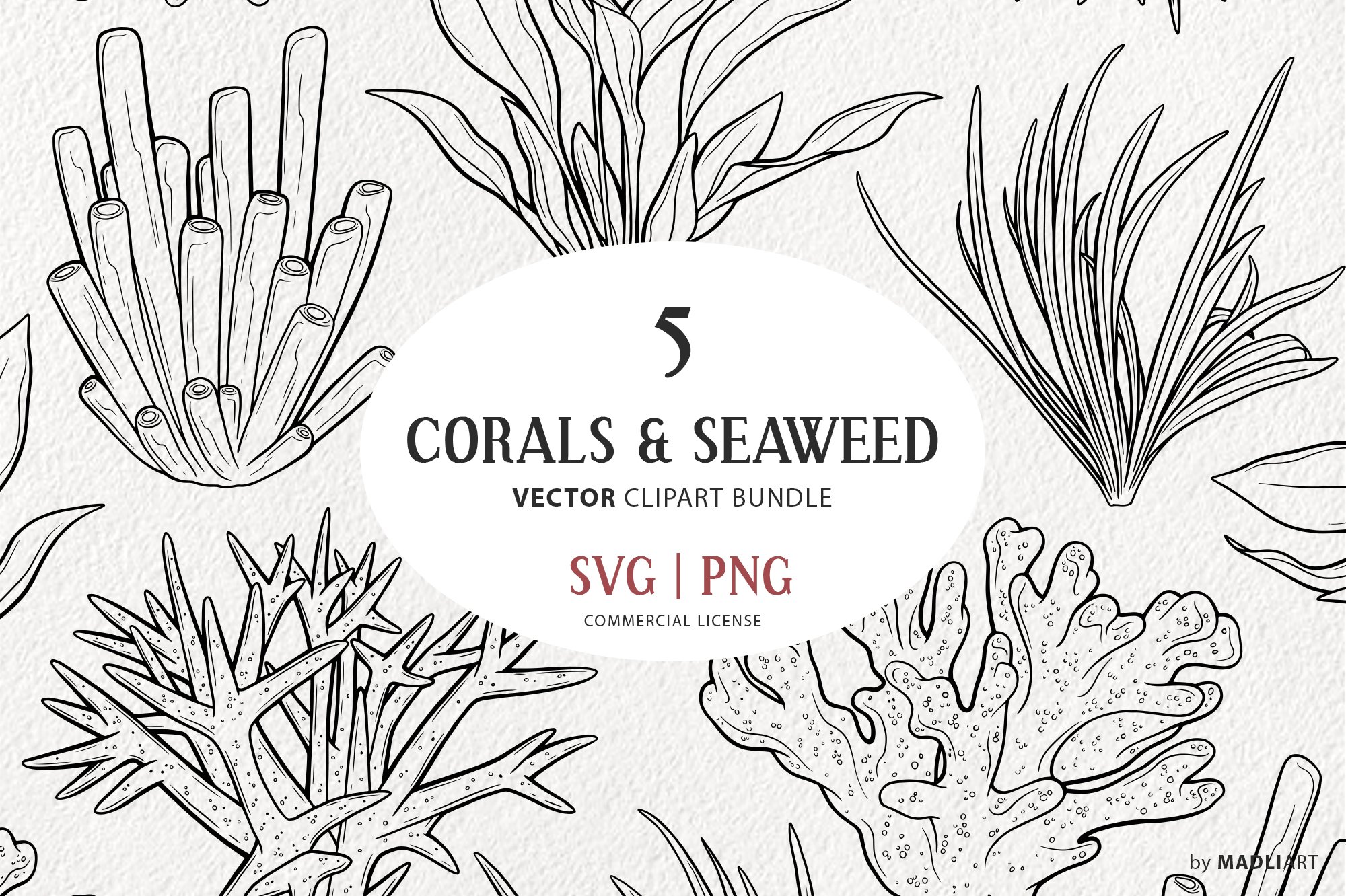 Corals & Seaweed Vector Line Art – MasterBundles