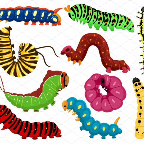 Cartoon caterpillars. Cute summer cover image.