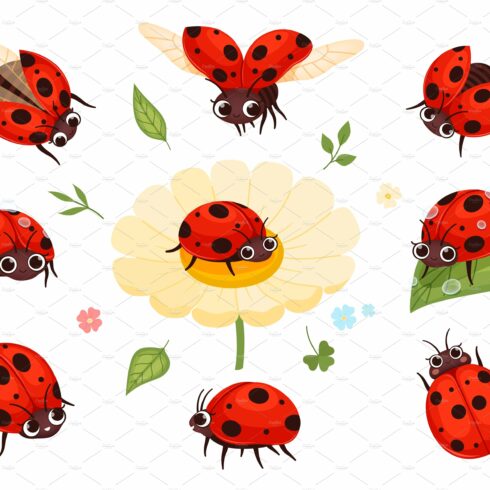 Red ladybugs. View nature bugs cover image.