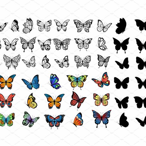 Butterfly collection. Drawing cover image.