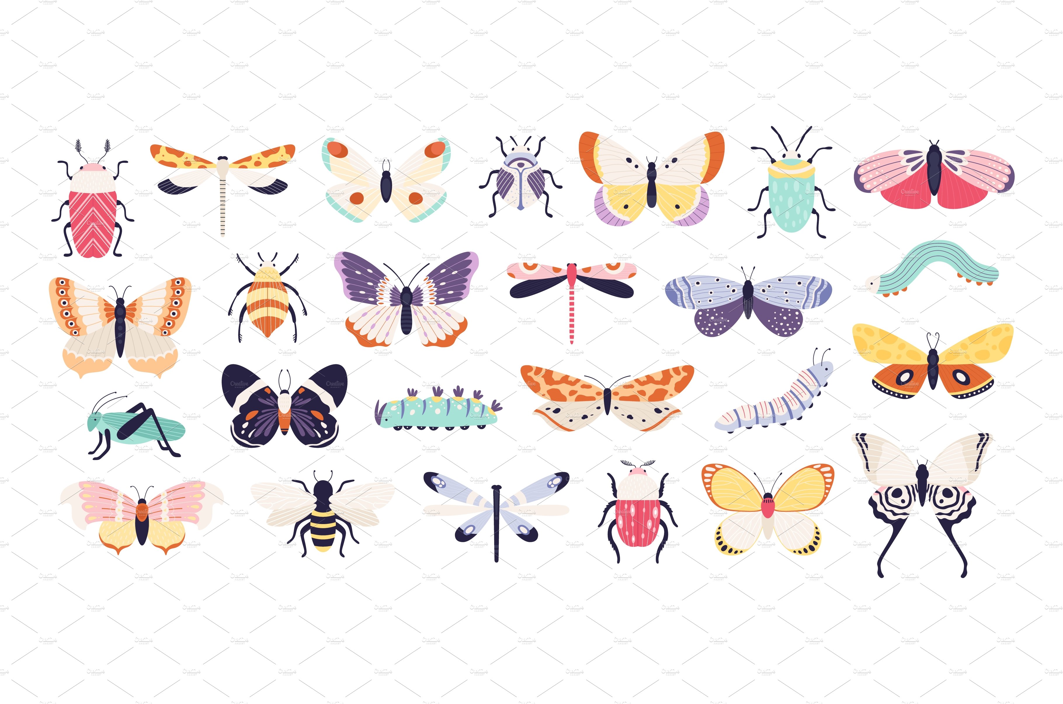 Decorative insects. Doodle beetles cover image.