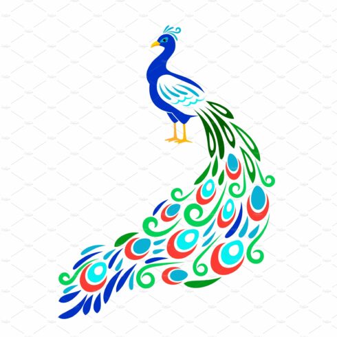Stylized peacock. Color ornament cover image.