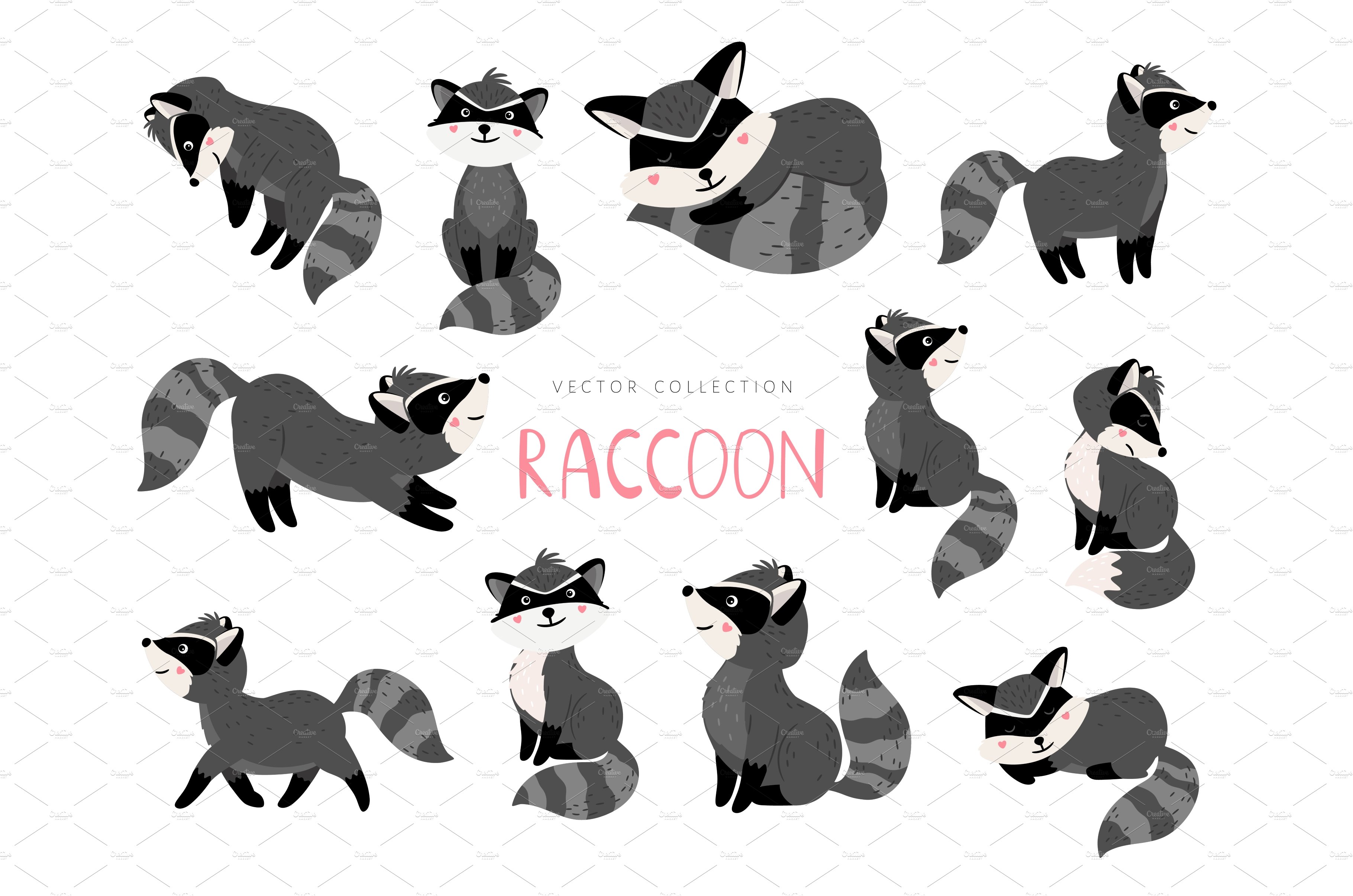 raccoon cartoon