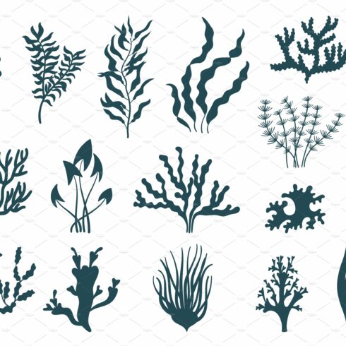 Sea plants silhouettes. Seaweed cover image.