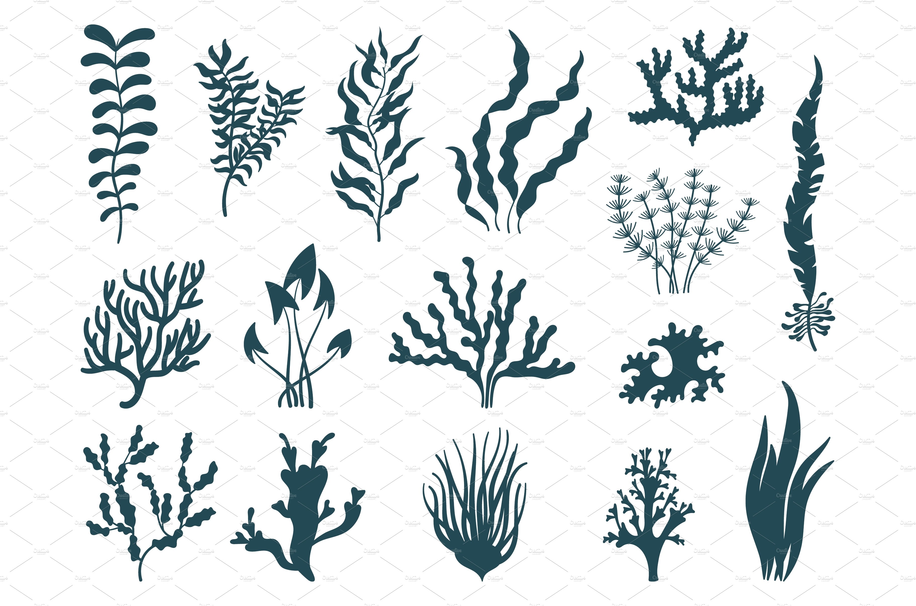 Sea plants silhouettes. Seaweed cover image.