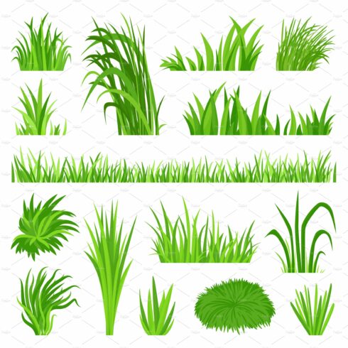Meadow grass elements. Back yard cover image.