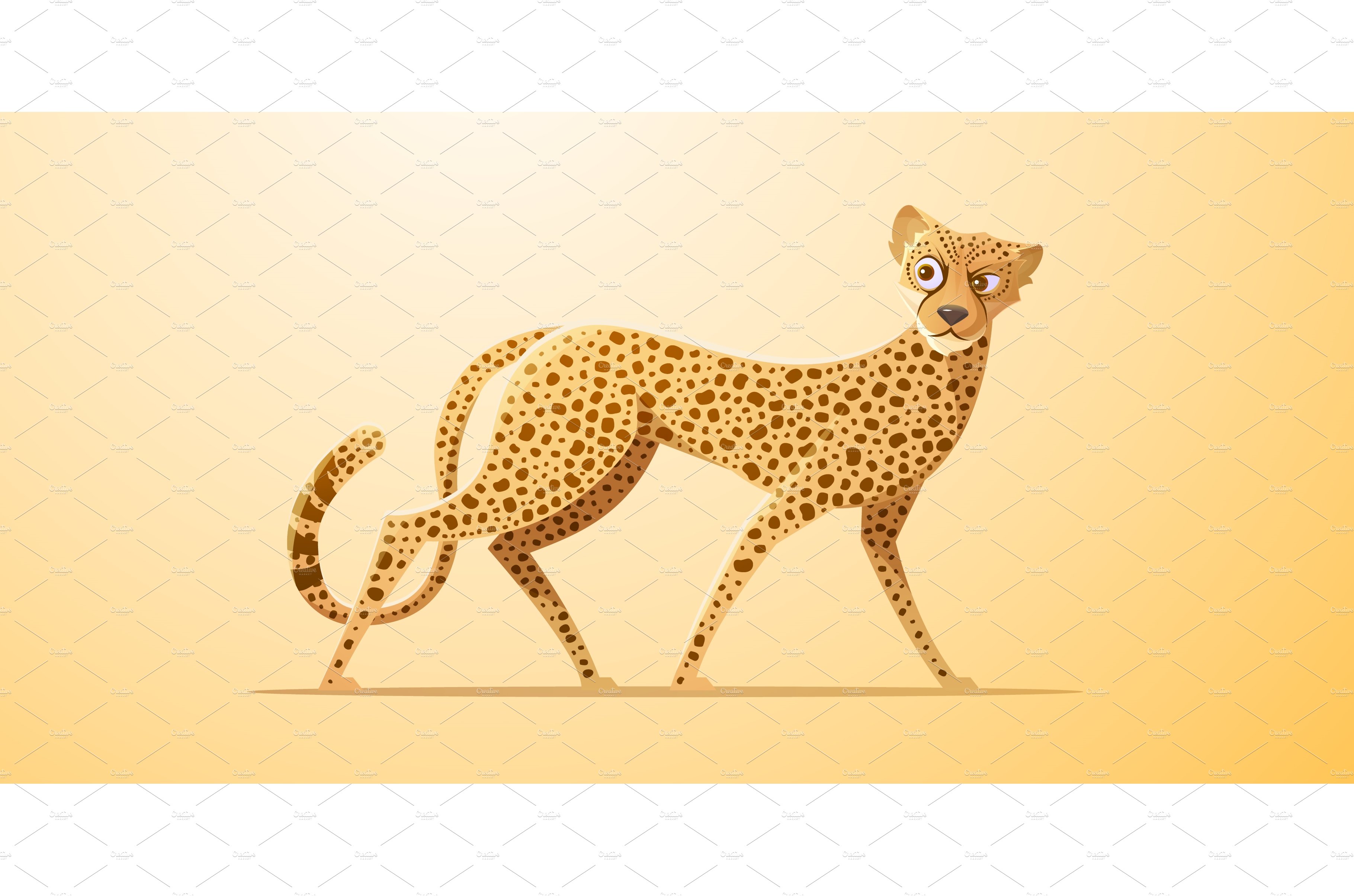 Cheetah, african gepard walking cover image.