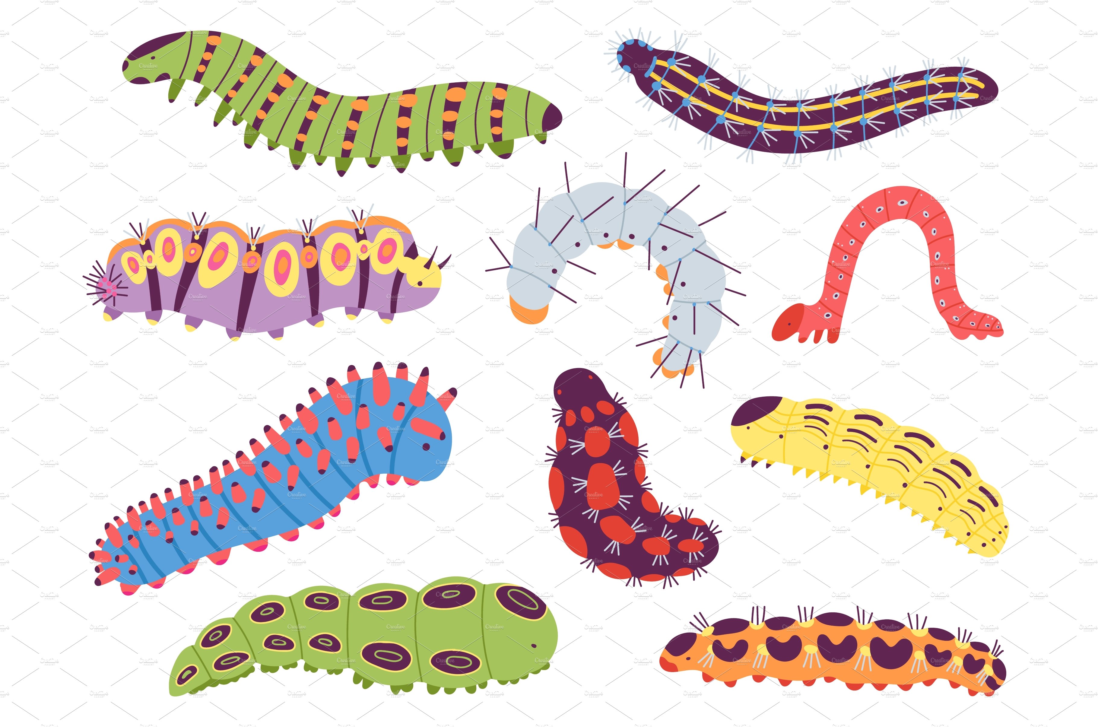 Spring caterpillars. Cartoon insect cover image.