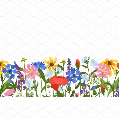 Wild meadow flowers seamless border cover image.