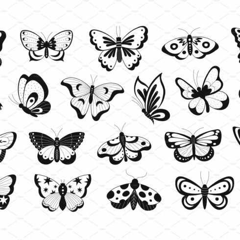 Abstract butterflies black cover image.