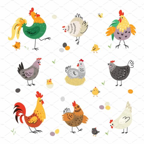 Chicken birds, hen and rooster cover image.