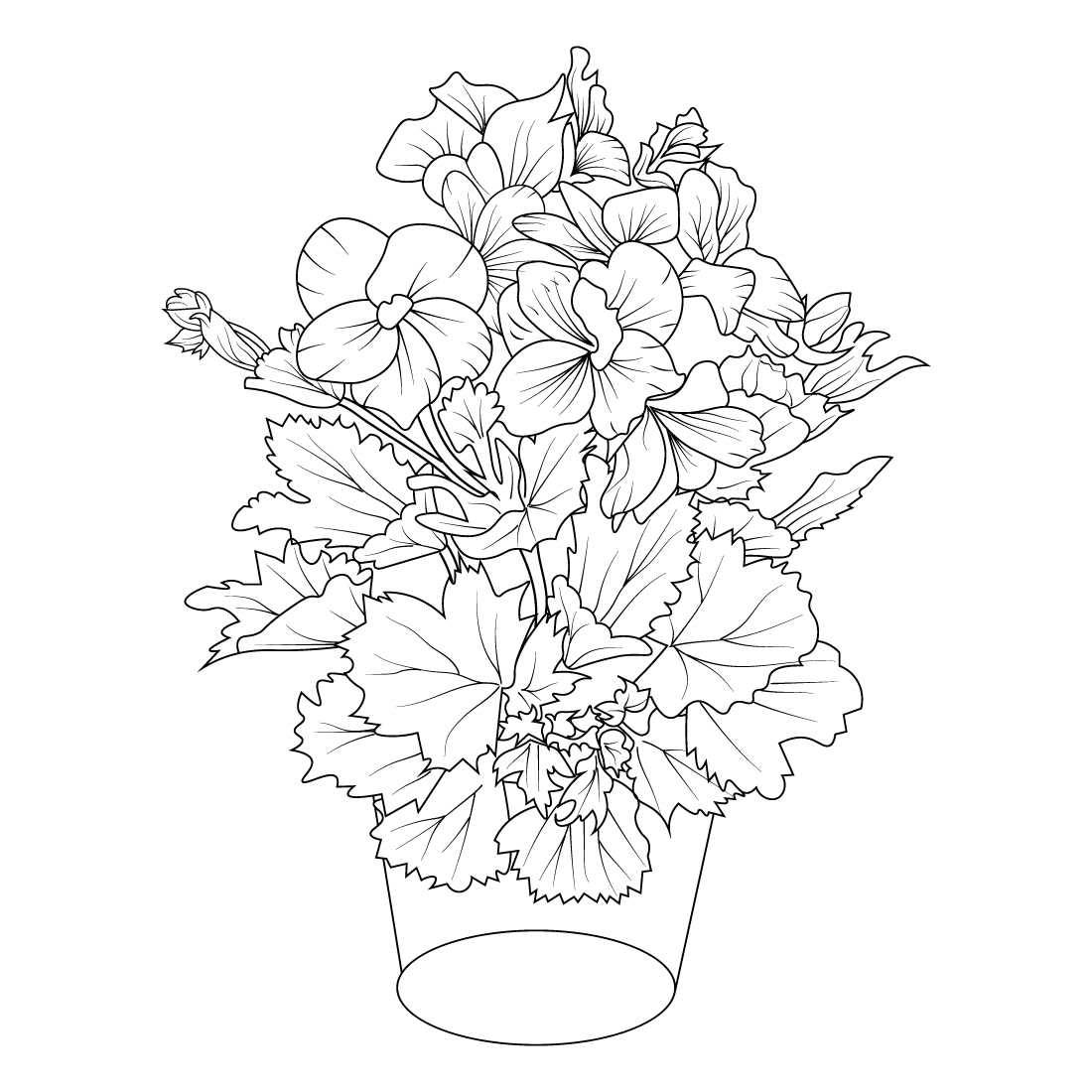 Drawing geranium illustration, geranium flower bouquet, line art ...