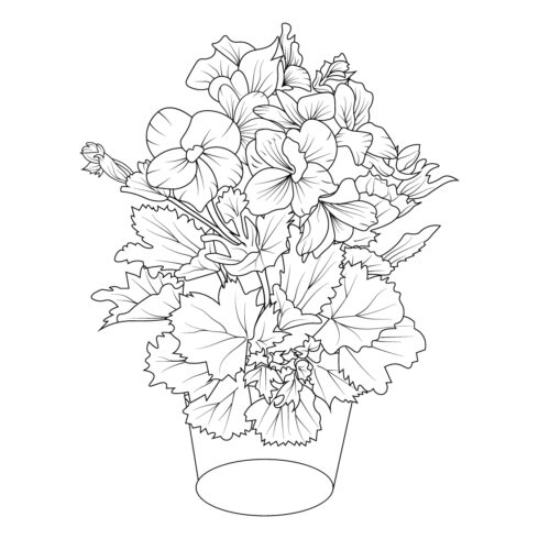 Drawing geranium illustration, geranium flower bouquet, line art geranium flower, outline drawing geranium, geranium flower pencil sketch, realistic geranium flower drawing cover image.