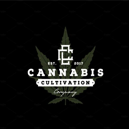 Vintage rustic cannabis cbd thc logo cover image.