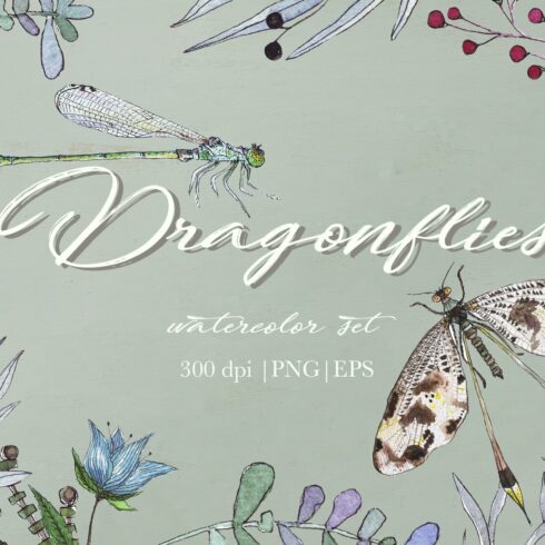 DRAGONFLIES. Watercolor clipart cover image.