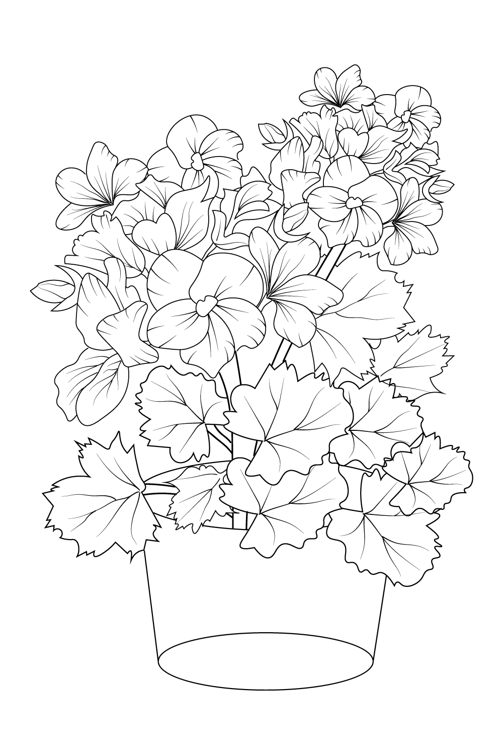 vintage geranium botanical illustration, easy geranium flower drawing, outline geranium drawing, geranium flower pencil art, botanical illustratioin, flower coloring page for adults pinterest preview image.