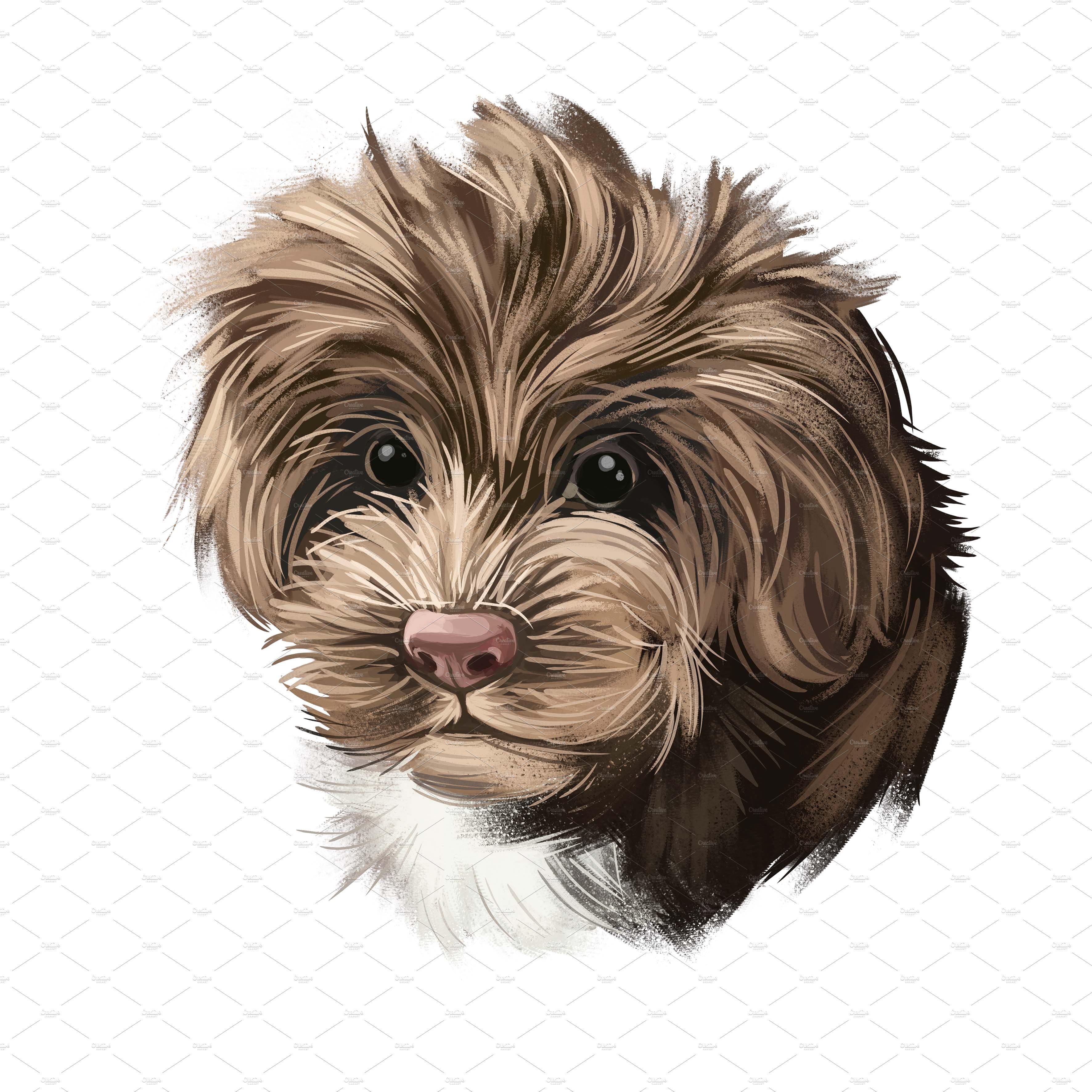 25. sproodle puppy png 28229 612