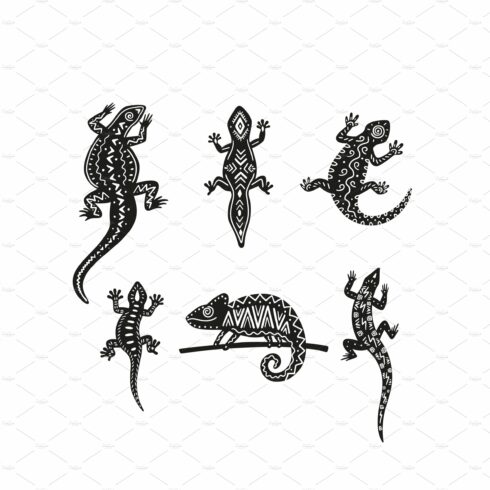 Set of black chameleons with cover image.