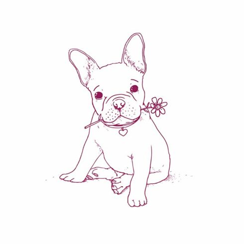 Frencg bulldog puppy illustration cover image.