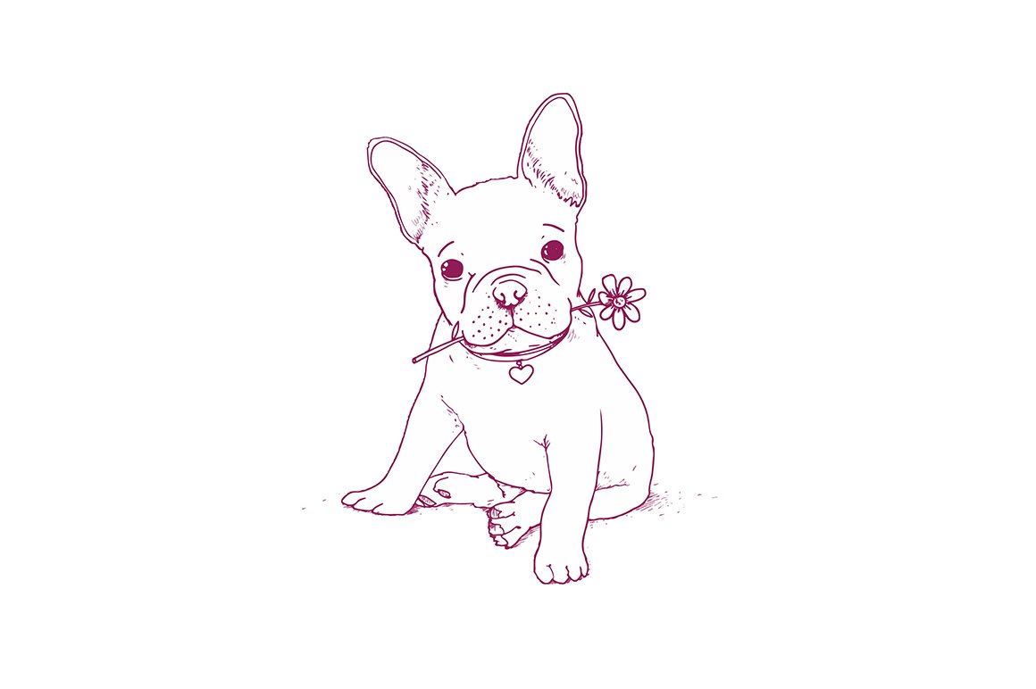 Frencg bulldog puppy illustration cover image.
