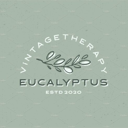 eucalyptus vintage logo vector icon cover image.