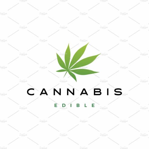 cannabis leaf logo vector icon cover image.