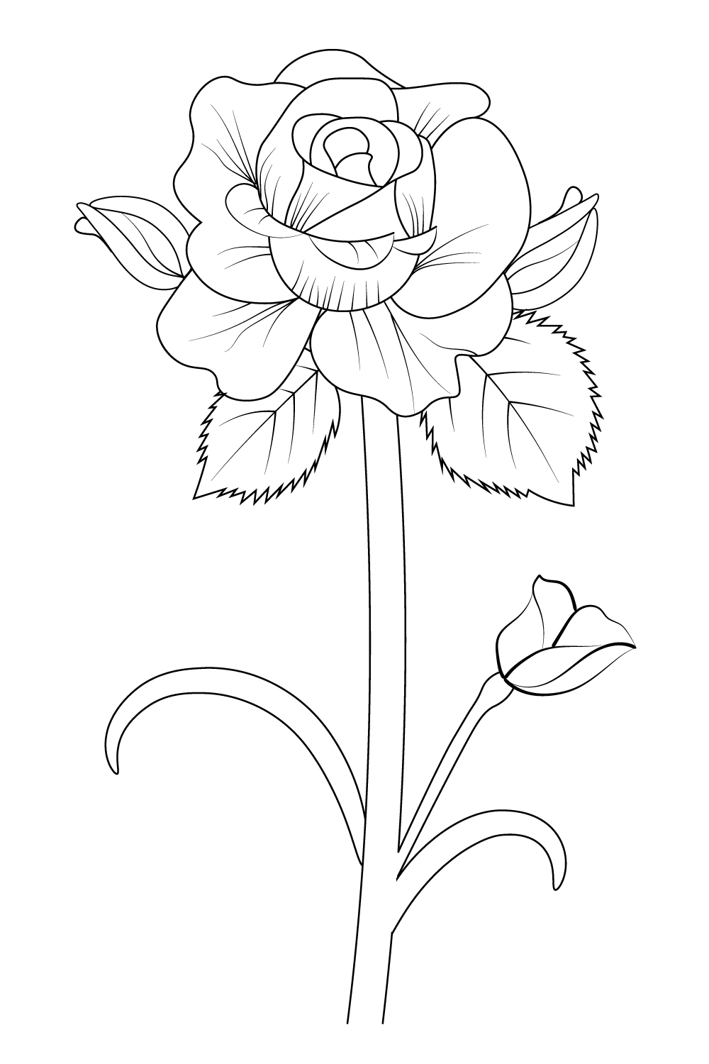 Simple Frame Pencil Flower Sketch Painting