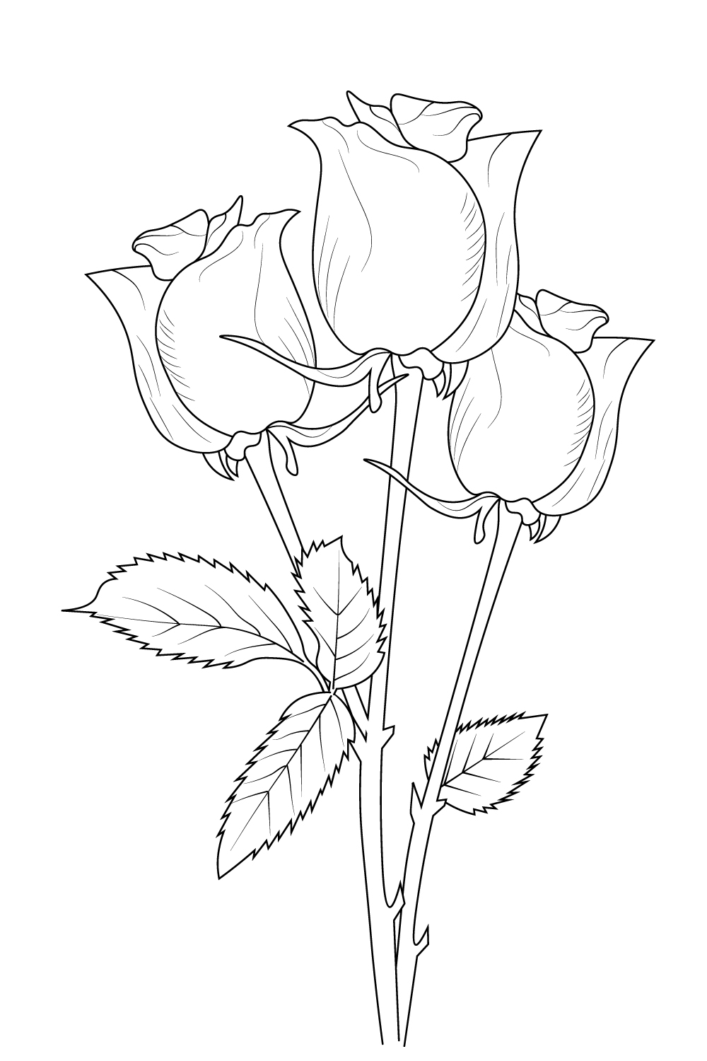 Flowers Drawings Inspiration : Pencil Sketch Drawing Of Fl… | Flickr