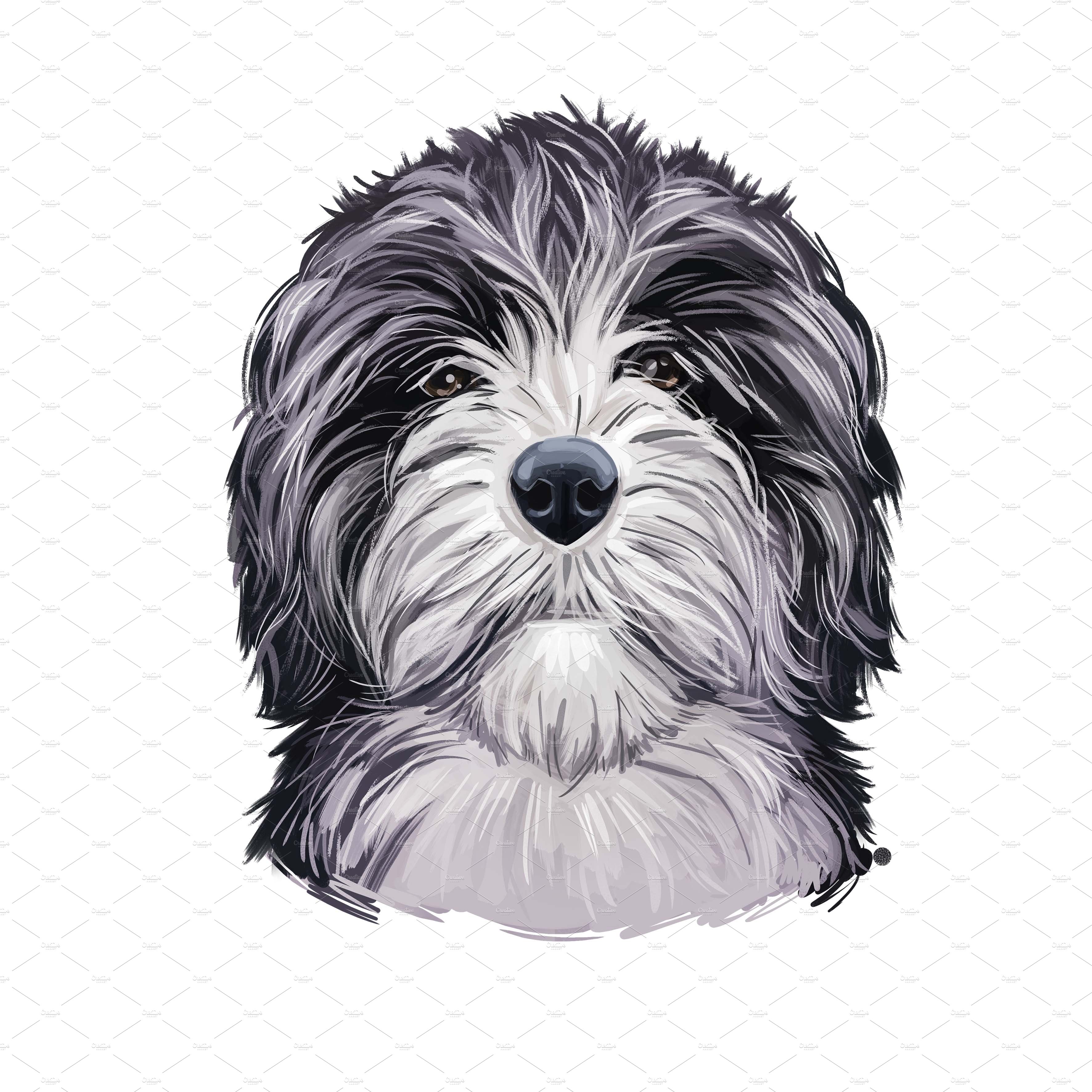 29. doxiepoo dog png 28229 605