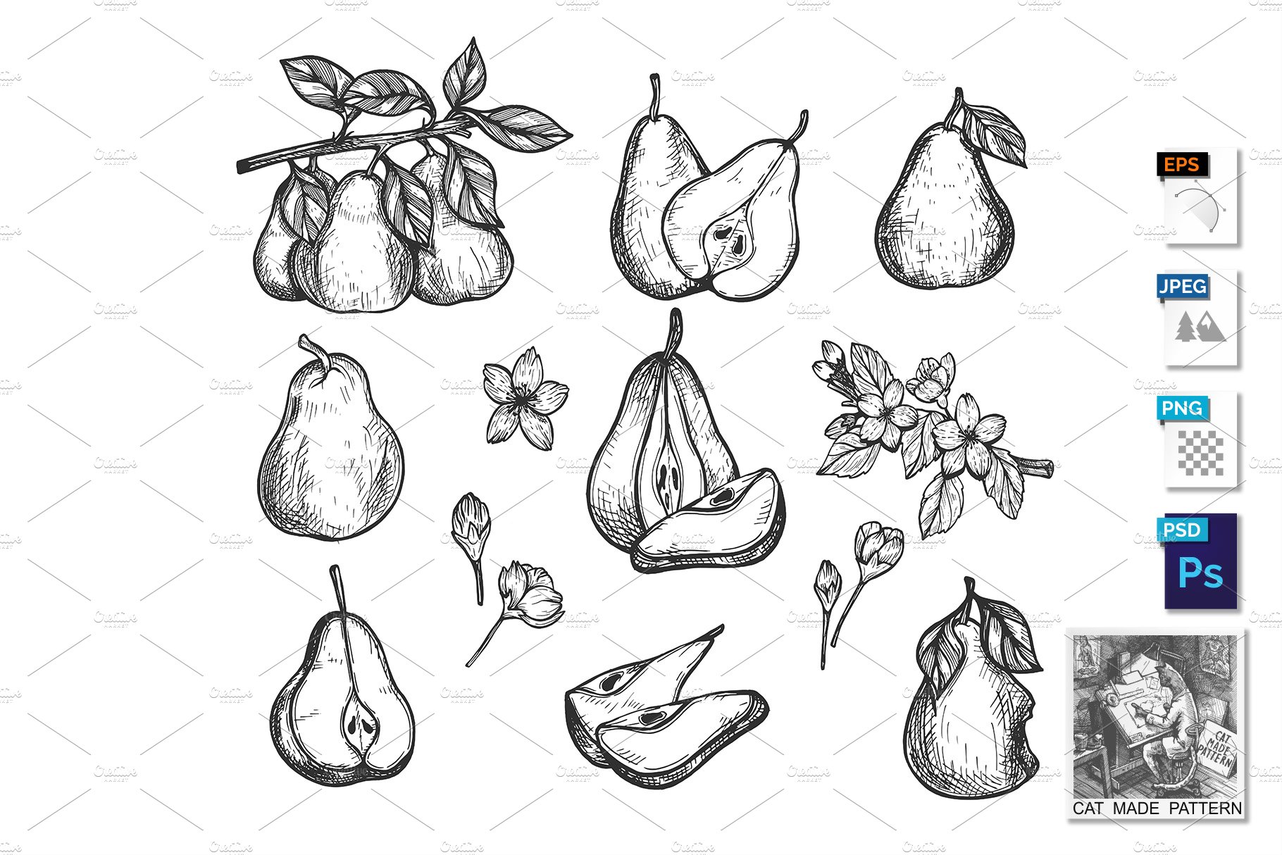 Ripe pear fresh fruit and flower set cover image.