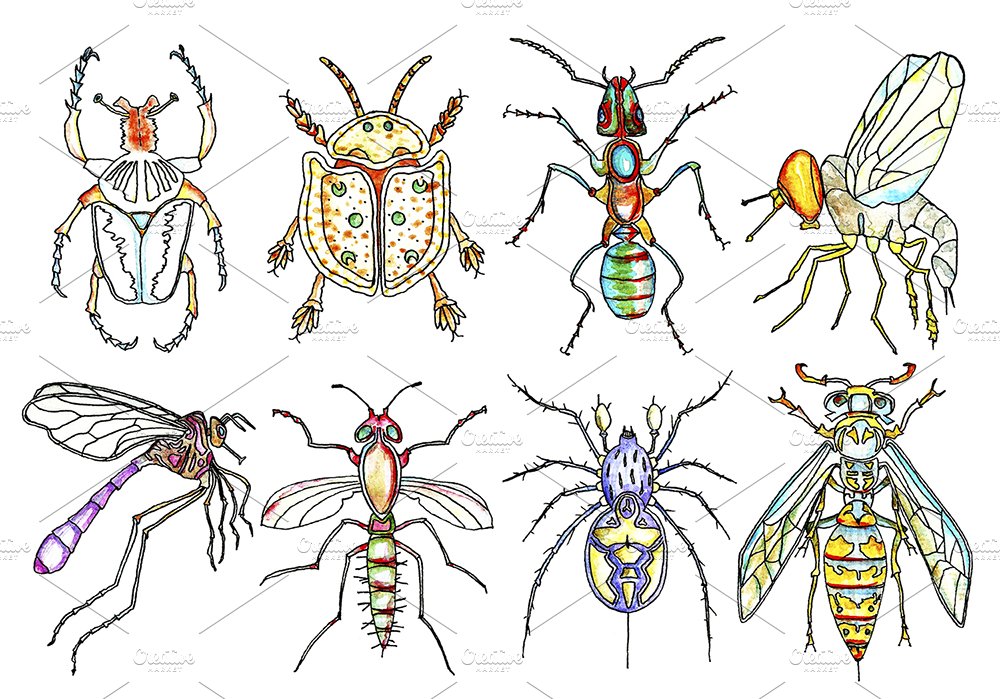 Bugs Watercolor Clipart, Insects preview image.