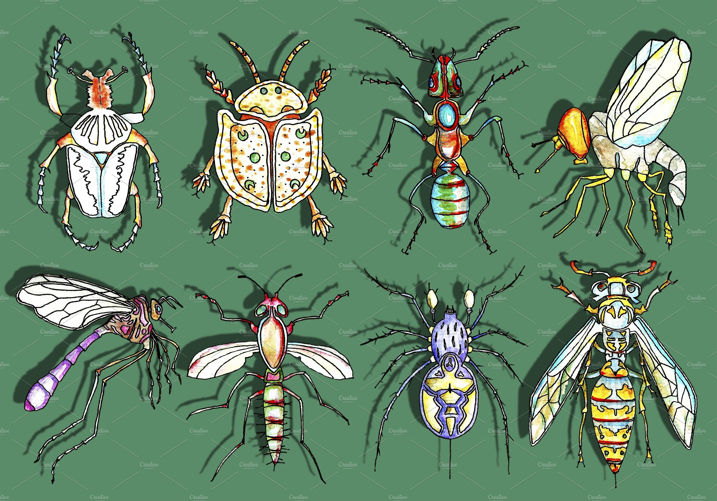 Bugs Watercolor Clipart, Insects cover image.