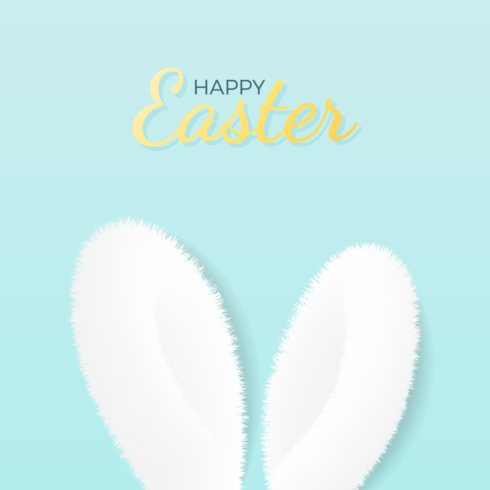Web Banners with Fluffy Easter Bunny ears  Vector Templates cover image.