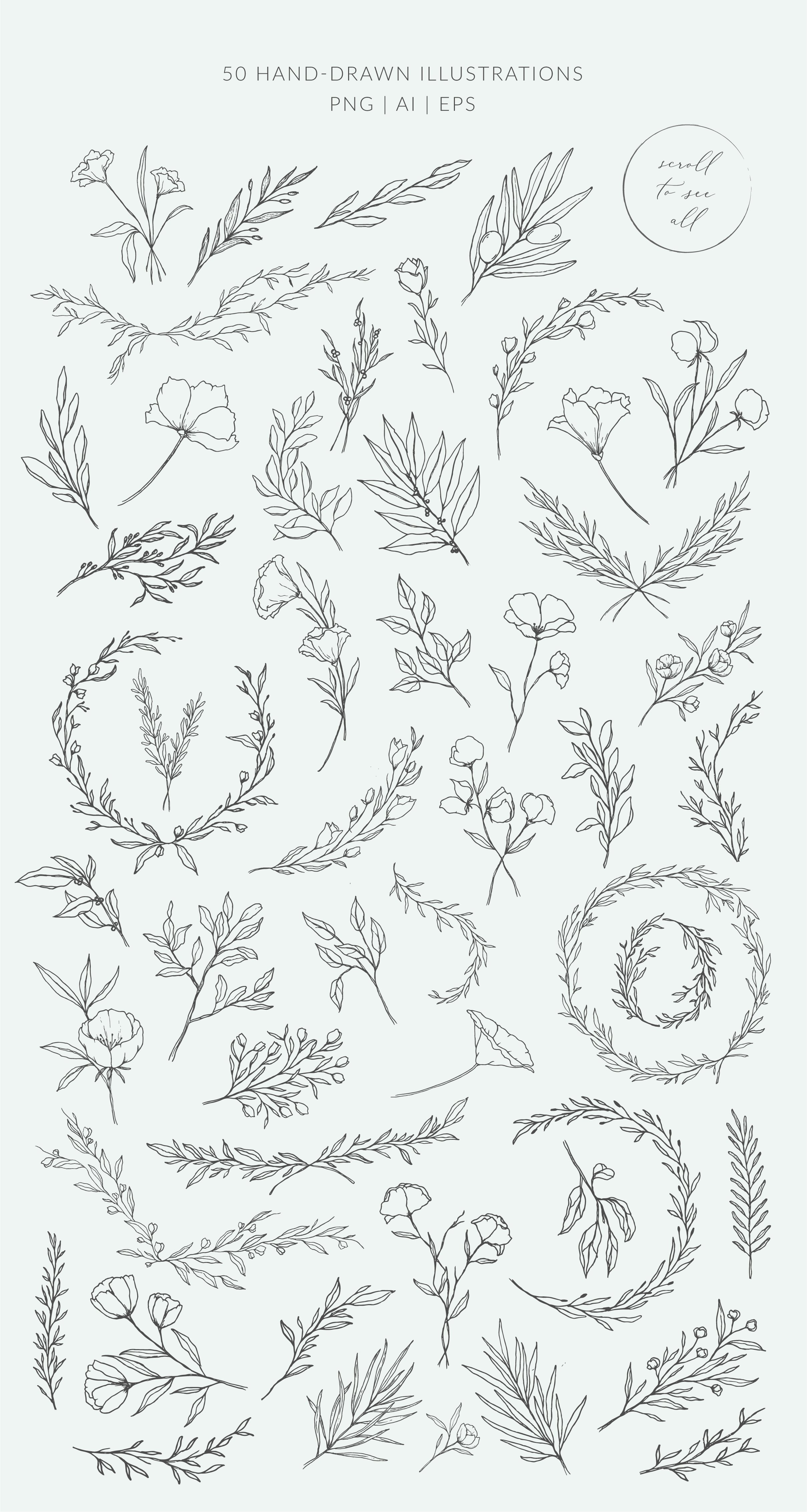 Botanical logos & illustrations preview image.