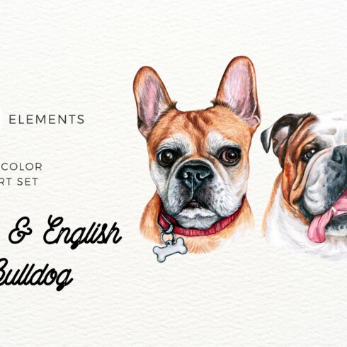 Cute Bulldog Watercolor Illustration cover image.