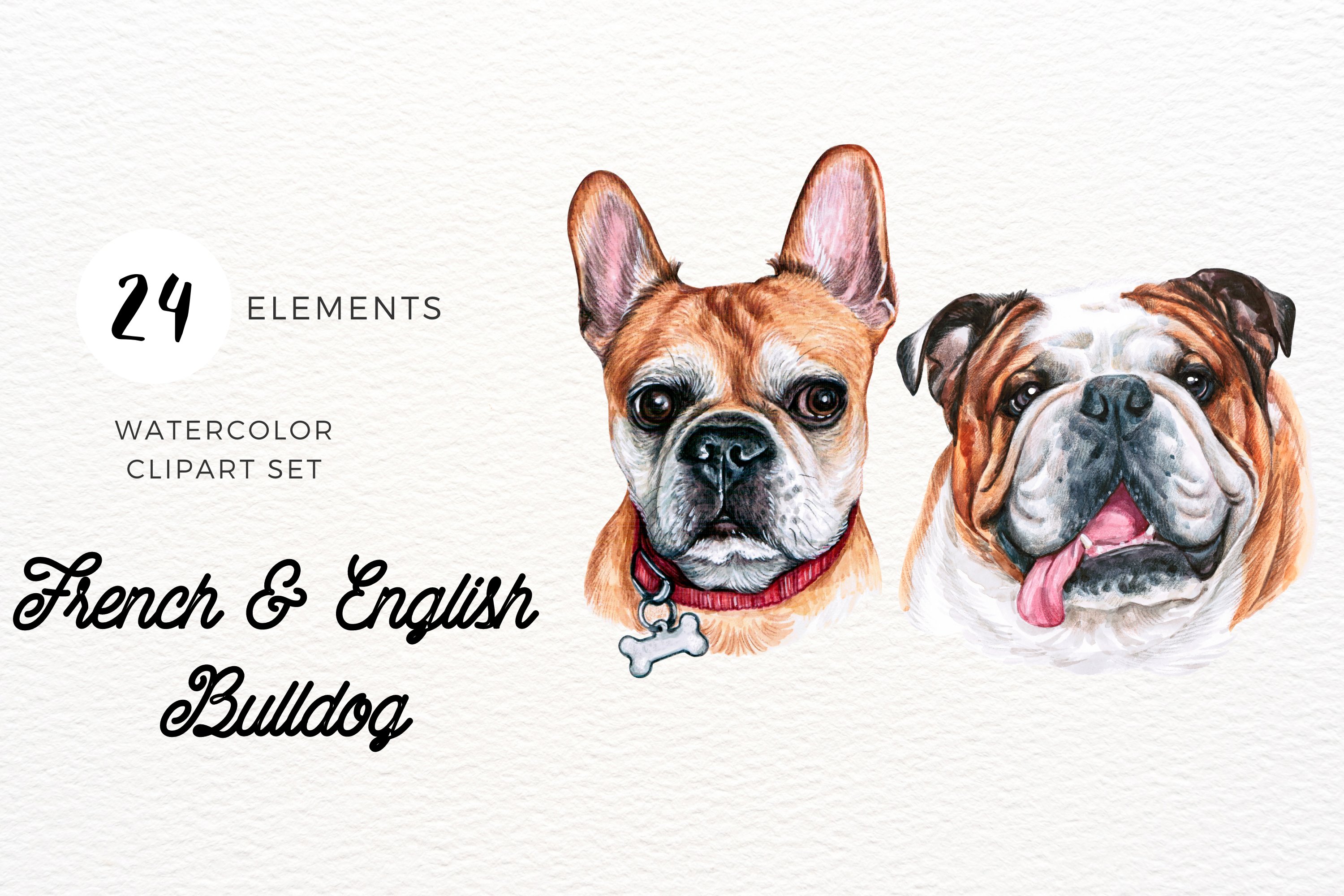 Cute Bulldog Watercolor Illustration cover image.