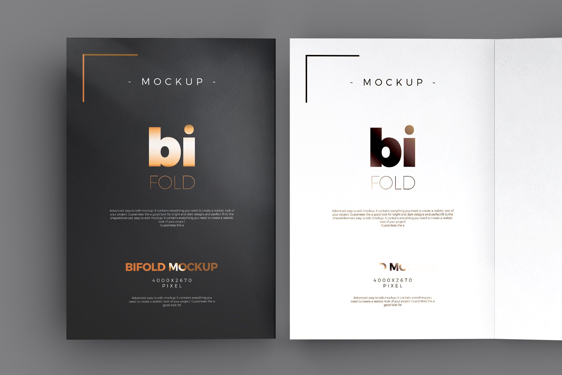 Bi-Fold A5 Brochure / Mock-up 2 preview image.
