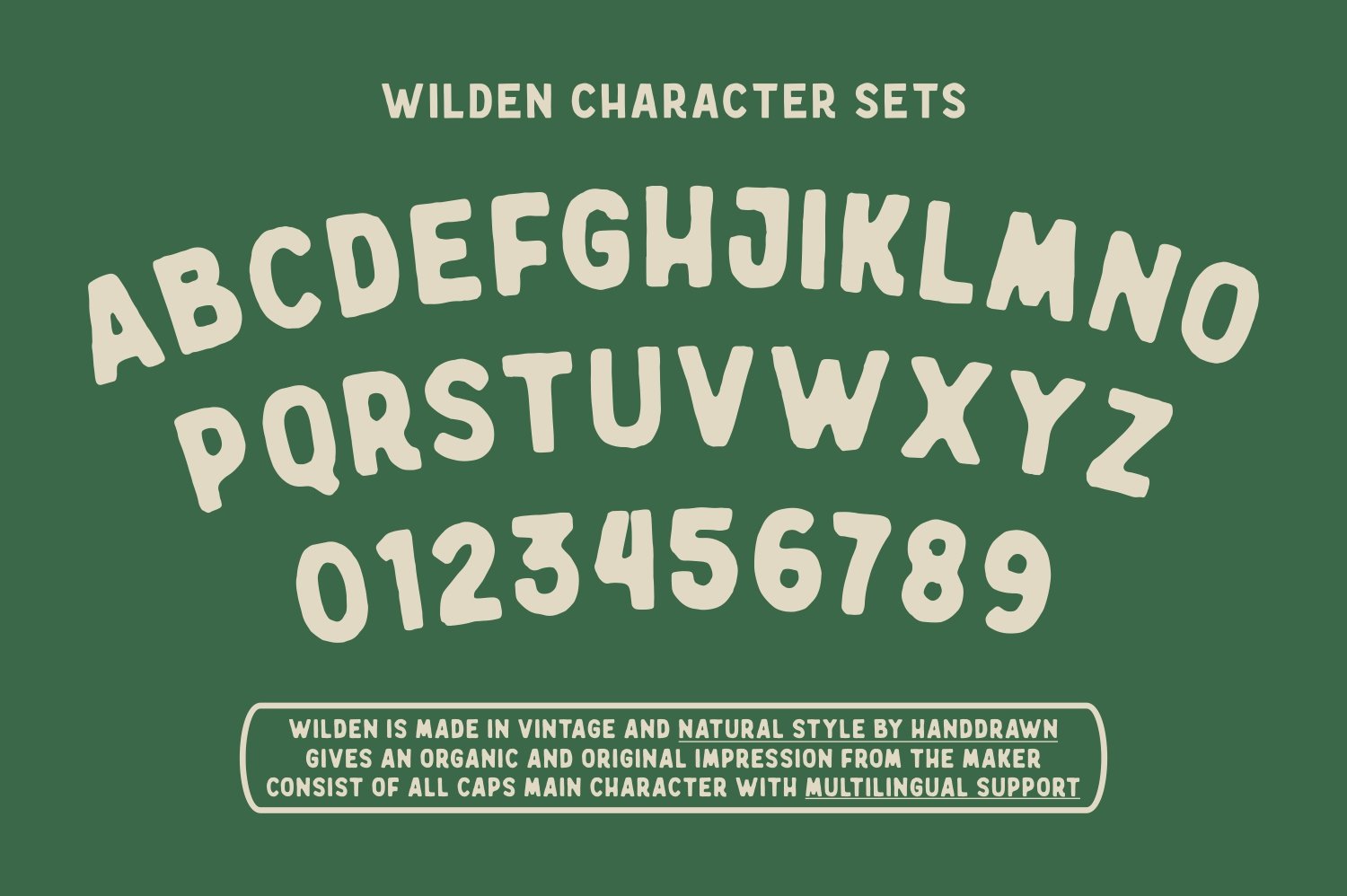 Wilden - Handdrawn Vintage Typeface preview image.
