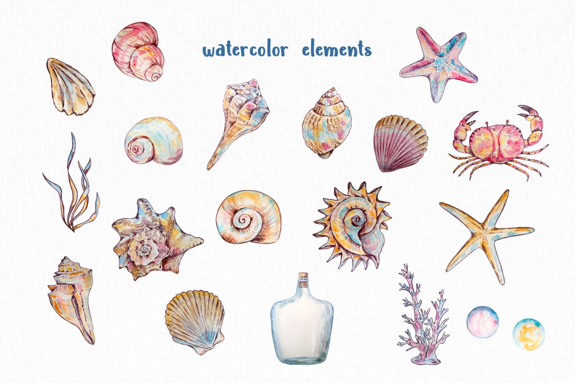 Watercolor Seashell Clipart preview image.