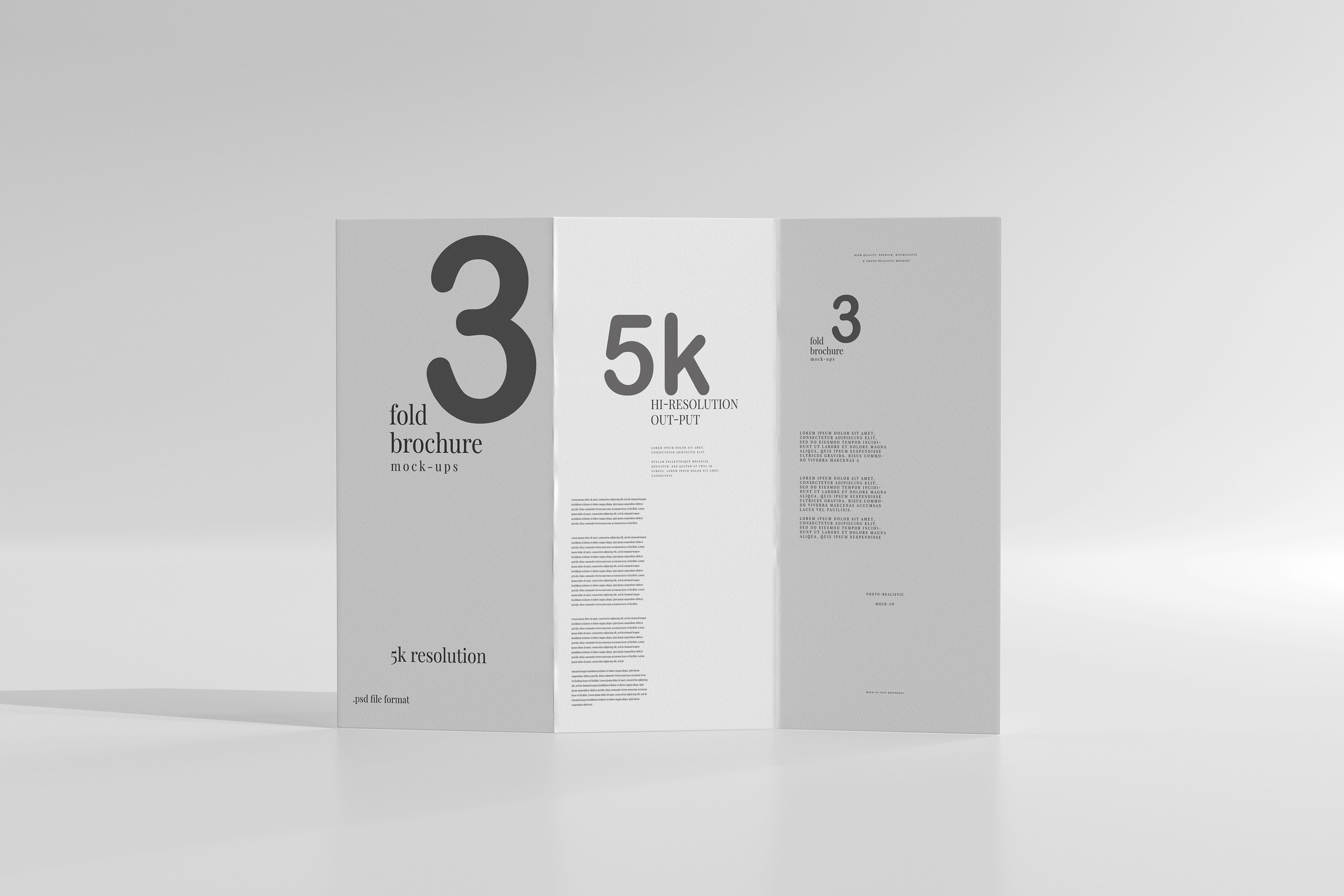 DL Size Tri-Fold Brochure Mockup preview image.