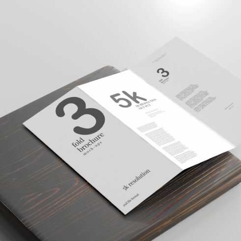 DL Size Tri-Fold Brochure Mockup cover image.