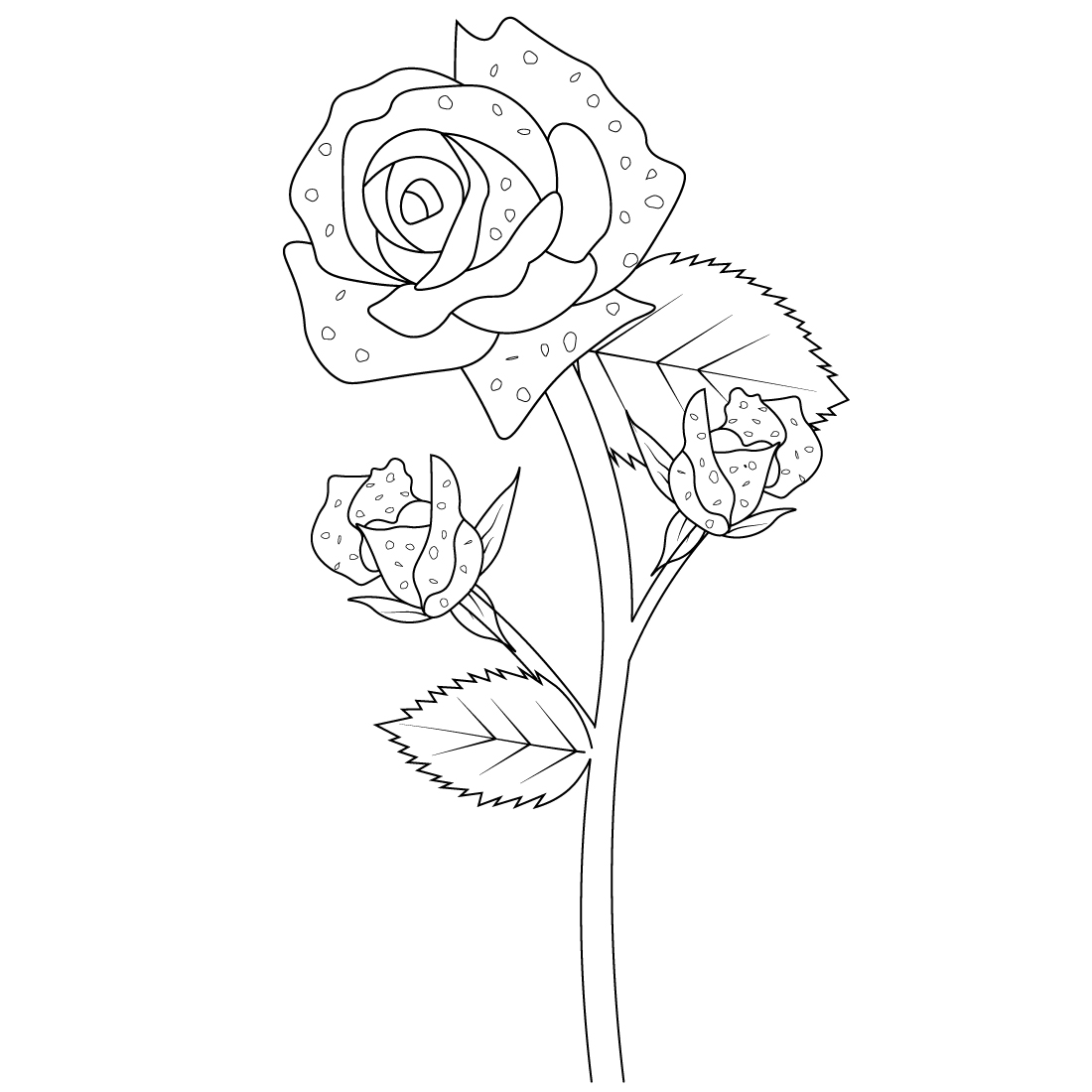 rose black and white outline