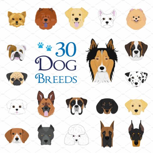 30x Dog breeds Vector Collection cover image.