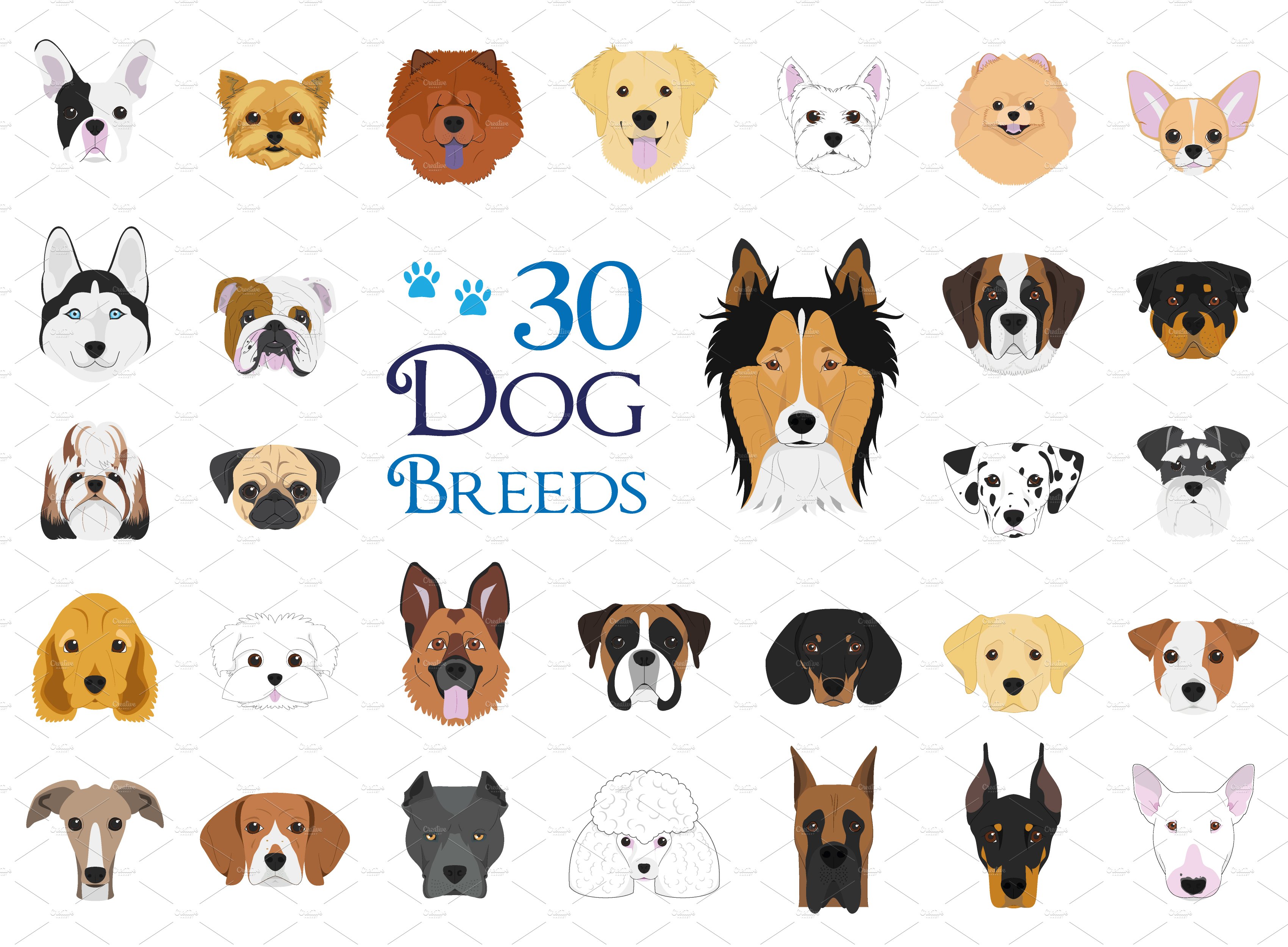 30x Dog breeds Vector Collection cover image.