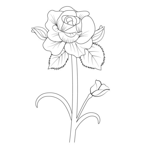 Rose Flower Sketch Line Art Illustration, Frame, Flower, Line Art PNG  Transparent Image and Clipart for Free Download