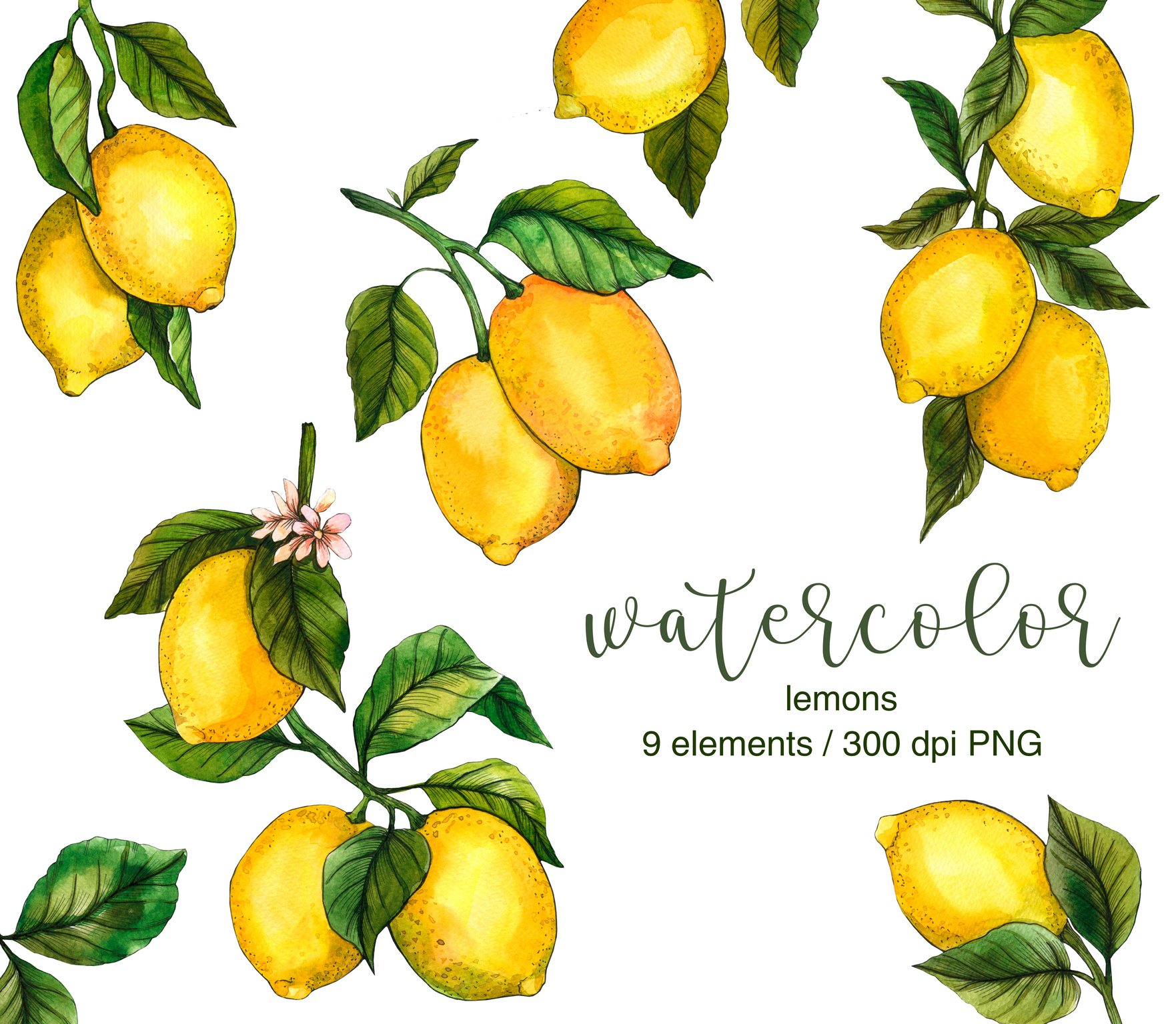 Watercolor Lemons Collection preview image.